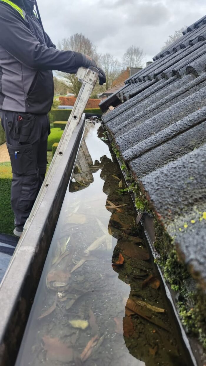 Winter, een donkere, gure tijd met koude temperaturen, veel wind en regen wat veel natuurlijke rommel in je dakgoot met zich meebrengt. Eveneens zoeken dieren, net als wij mensen, beschutting tegen de weerselementen. Eentje hiervan is de steenmarter.

Steenmarters verblijven vaak onder daken van woningen of verschaffen zich, indien mogelijk, toegang tot zolder of de holle ruimtes/plafonds van je huis. Hierbij maken ze in veel gevallen een opening in het onderdak en bannen zich een weg door de isolatie of maken er zelfs hun nest in met grote schade en overlast tot gevolg.

🔍Ben ook jij het beu om 2 maal per jaar de ladder op te klimmen om je dakgoten te reinigen?

🔍 Heb je een vermoeden van een steenmarter in de buurt?

Wij bieden professioneel advies en helpen je graag verder!

📞 Neem contact met ons op via het nummer 014/73 63 93 en laat je begeleiden door experts. Samen maken we jouw huis weer veilig en zorgen en zorgen we ervoor dat je dakgoot voor goed proper blijft!

👉 #steenmarter #dakbescherming #winterslapers #steenmarterpreventie #professionelehulp #veiligthuis #adviesnodig