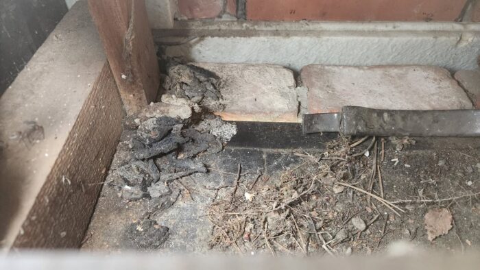 MarterPREVENTIE een investering ten bate van de levensduur van je dak en woning!

Bijgevoegde fotos tonen nog maar eens dat je onze marterpreventie moet zien als een investering!

Onder het motto: beter voorkomen dan genezen, is het dus aangewezen niet te wachten tot je een steenmarter op bezoek krijgt alvorens je woning martervrij te  laten maken. De herstellingskosten om de schade die een steenmarter kan aanrichten te repareren liggen vaak enkele malen hoger dan de prijs van marterpreventie!

🔍 Heb je een vermoeden van een steenmarter in de buurt?
Wij bieden professioneel advies en helpen je graag verder!

📞 Neem contact met ons op via het nummer 014/73 63 93 en laat je begeleiden door experts. Samen maken we jouw huis weer veilig en zorgen en zorgen we ervoor dat je dakgoot voor goed proper blijft!

👉 #steenmarter #dakbescherming #winterslapers #steenmarterpreventie #professionelehulp #veiligthuis #adviesnodig