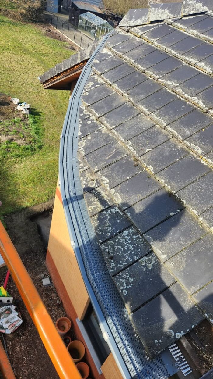 WIST JE DAT...? Onze marterpreventie tegelijk ook dienstdoet als vogelpreventie?

Onze klant te Boortmeerbeek had vooral problemen met enorm veel mussen onder zijn dak, met lawaai en vooral ook veel schade door nestmateriaal als gevolg. Ook werden zijn dakgoten door de gevederde vrienden gevuld met hun uitwerpselen.

Door het plaatsen van onze dakgoot -en marterpreventie is dit nu verleden tijd.

📞 Neem contact met ons op via het nummer 014/73 63 93 en laat je begeleiden door experts. Samen maken we jouw huis weer veilig en zorgen en zorgen we ervoor dat je dakgoot voor goed proper blijft!
👉 #steenmarter #dakbescherming #winterslapers #steenmarterpreventie #professionelehulp #veiligthuis #adviesnodig