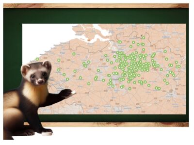🏡 De Marterspecialist: Wij komen in heel Vlaanderen! 🦡

Heb je last van een marter? Dit slim diertje komt overal in Vlaanderen voor, dus ook bij jou in de buurt !
We hebben al onze realisaties tot nu toe op de kaart gezet.
https://demarterspecialist.be/realisaties/                                                                                                                    
💡Voorkomen is beter dan genezen!
Marters kunnen voor heel wat last zorgen, zoals schade aan je dakisolatie, geluidsoverlast en zelfs kapotte kabels in je auto. Maar wist je dat de marter een beschermde diersoort is? We mogen ze niet vangen of verdelgen, alleen op een diervriendelijke manier verjagen .

✅ Wij bieden effectieve en preventieve oplossingen om je huis en wagen te beschermen.
👉 Heb je een vermoeden dat je voor het laatst een marter hebt gehad? Neem contact op met ons op!

📩 Stuur ons een bericht via onze website, naar info@demarterspecialist.be of bel ons voor advies op het nummer 014/73 63 93! 📞

#Marterspecialist #Marteroverlast #BeschermdDier #Preventie #VeiligWonen #Vlaanderen